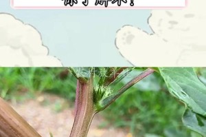 刺痛之美——全身带刺的植物大全（探索植物界中带刺之王，一览全身长满刺的植物奇观）