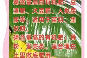 蘑菇渣能否成为优质肥料？（蘑菇渣作为有机废弃物的再利用及其对土壤的影响）