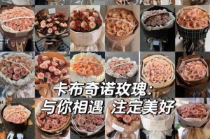 各色玫瑰的含义（花语传情，让玫瑰说爱）