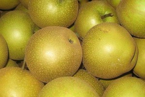 黄花梨果实的营养价值与食用方法（探究黄花梨果实的功效与作用，了解其食用方式）