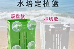 水培定制兰的养殖方法与技巧（打造独一无二的水培兰，从定制开始）