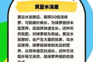绿萝长势喜人，如何科学浇水？（绿萝养护指南，助你成为植物大师）