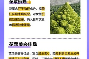 花菜的生长周期及（探究花菜的生长过程和特点）