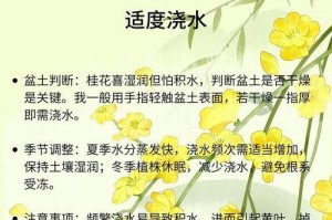 桂花的美丽与魅力（探寻桂花的芬芳与传奇）