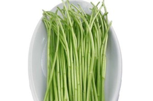泥蒿，春季特有的美味佳肴（探寻泥蒿的美食历史和营养价值）
