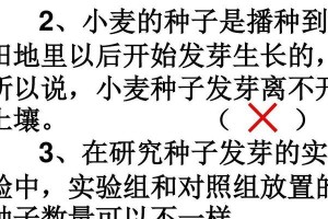 种子发芽率的影响因素及优化措施（探索种子发芽率与种子数量、环境因素的关系，提高发芽率的方法）