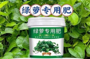 绿萝黄叶病因及药物治疗方法（保持绿萝健康的关键-药物治疗）