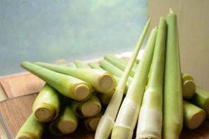 如何储存白菜，避免浪费食材（如何储存白菜，避免浪费食材）