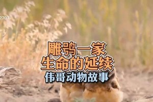 繁殖之美——大自然的神奇魅力（探寻繁殖奥秘，解开生命密码）