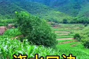 科学浇灌，让植物茁壮成长（掌握正确的浇水方法，让植物更健康）