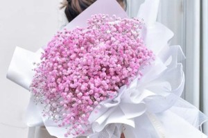 满天星送什么颜色好（美丽花束，满天星色彩选择指南）