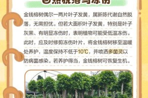 秋天到了，如何处理掉落的草叶和黄叶？（自然环保的草叶和黄叶处理方法，环保养护的关键）