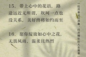 《等待你》（探寻等待你的花语）