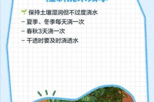 冬季幸福树落叶的处理方法（保护环境，关爱大自然）