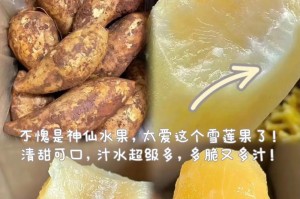 如何延长雪莲果的保存时间？（掌握正确方法，让雪莲果更加持久新鲜）