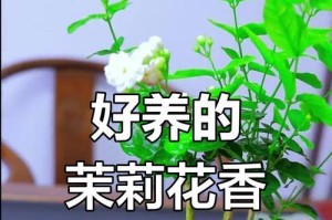 茉莉怎样养才旺盛（掌握关键技巧，打造茉莉花园的繁荣乐园）