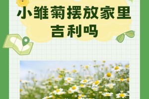 以小朵菊怎么养？（打造迷人花园的必备秘籍）