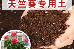 天竺葵土壤配方与使用技巧（打造健康繁茂的天竺葵花园）