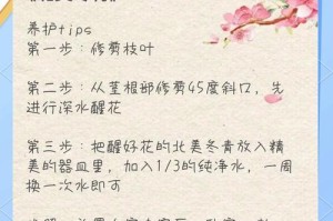 冬季怎样养护冬青，保持绿色清新（冬季养护冬青的技巧和方法）