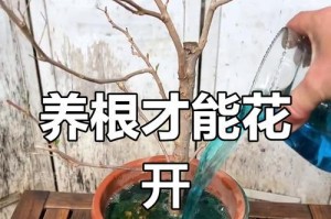 茶花快死了，如何拯救？（救活茶花的有效方法与技巧）