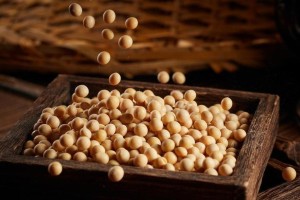 如何使豆渣沤肥不再臭气熏天？（使用科学方法减少豆渣沤肥的臭味）