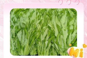如何挑选新鲜可口的空心菜（从外形到品质，全面了解空心菜）
