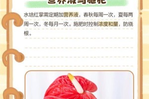 解决红掌水培发黄问题的实用方法（红掌水培发黄原因及调理技巧）
