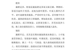 兰花叶黄的治疗与护理方法（如何有效应对兰花叶黄问题，让兰花重现健康之美）